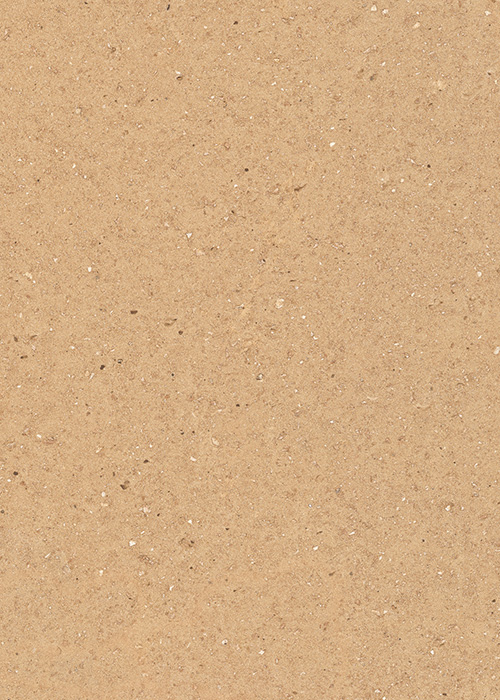 Datum Trace