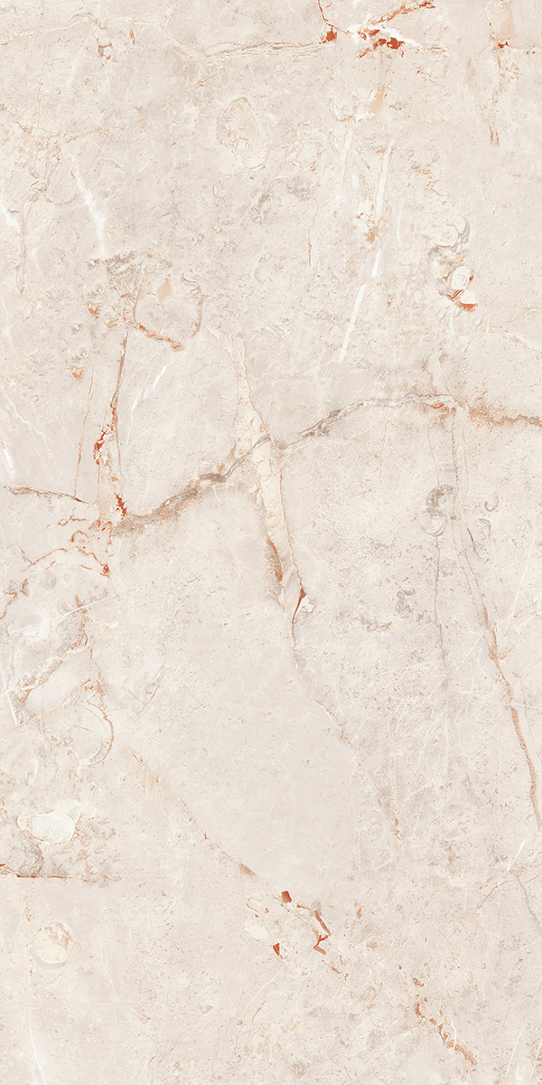 SARAN COLLINS CREMA